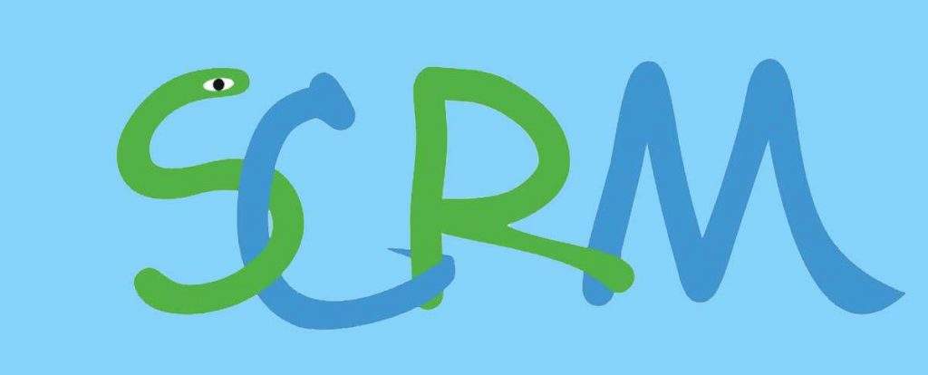 《什么是SaaS級SCRM?大小企業為何紛紛嘗試?》